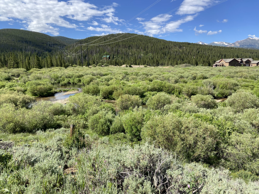 2021-07-06-Colorado-07-Horseshoe-Dredge-Trail-CT.jpg