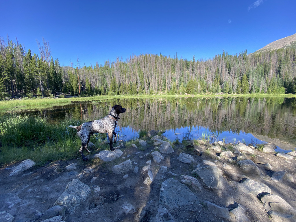 2021-07-09-Colorado-03-Lilypad-Lake-Hike-Blaze.jpg