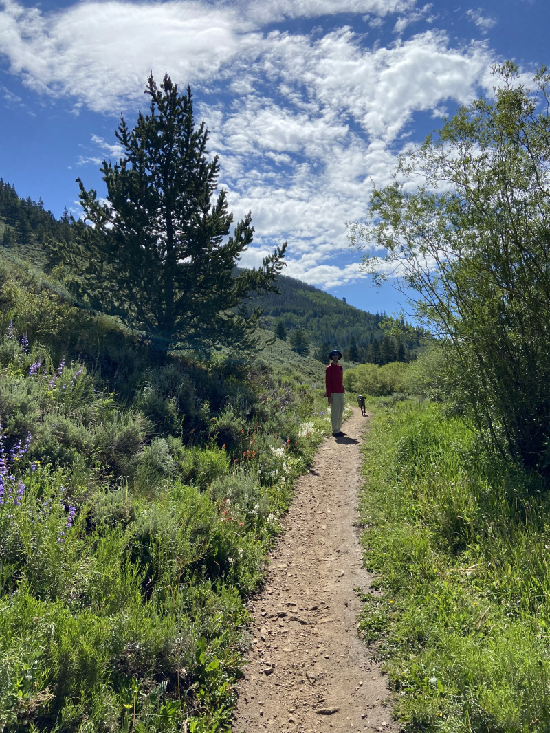 2021-07-06-Colorado-11-Horseshoe-Dredge-Trail-CT-Stan-Blaze.jpg