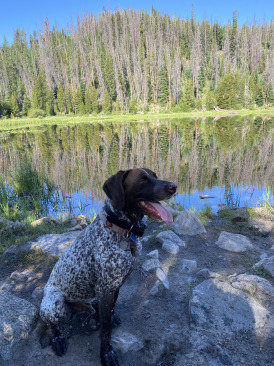 2021-07-09-Colorado-05-Lilypad-Lake-Hike-Blaze.jpg