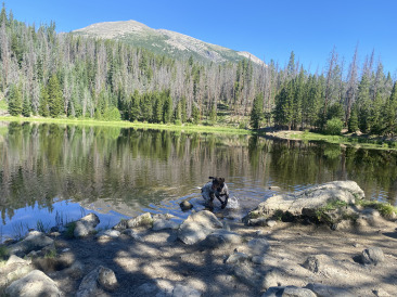 2021-07-09-Colorado-07-Lilypad-Lake-Hike.jpg