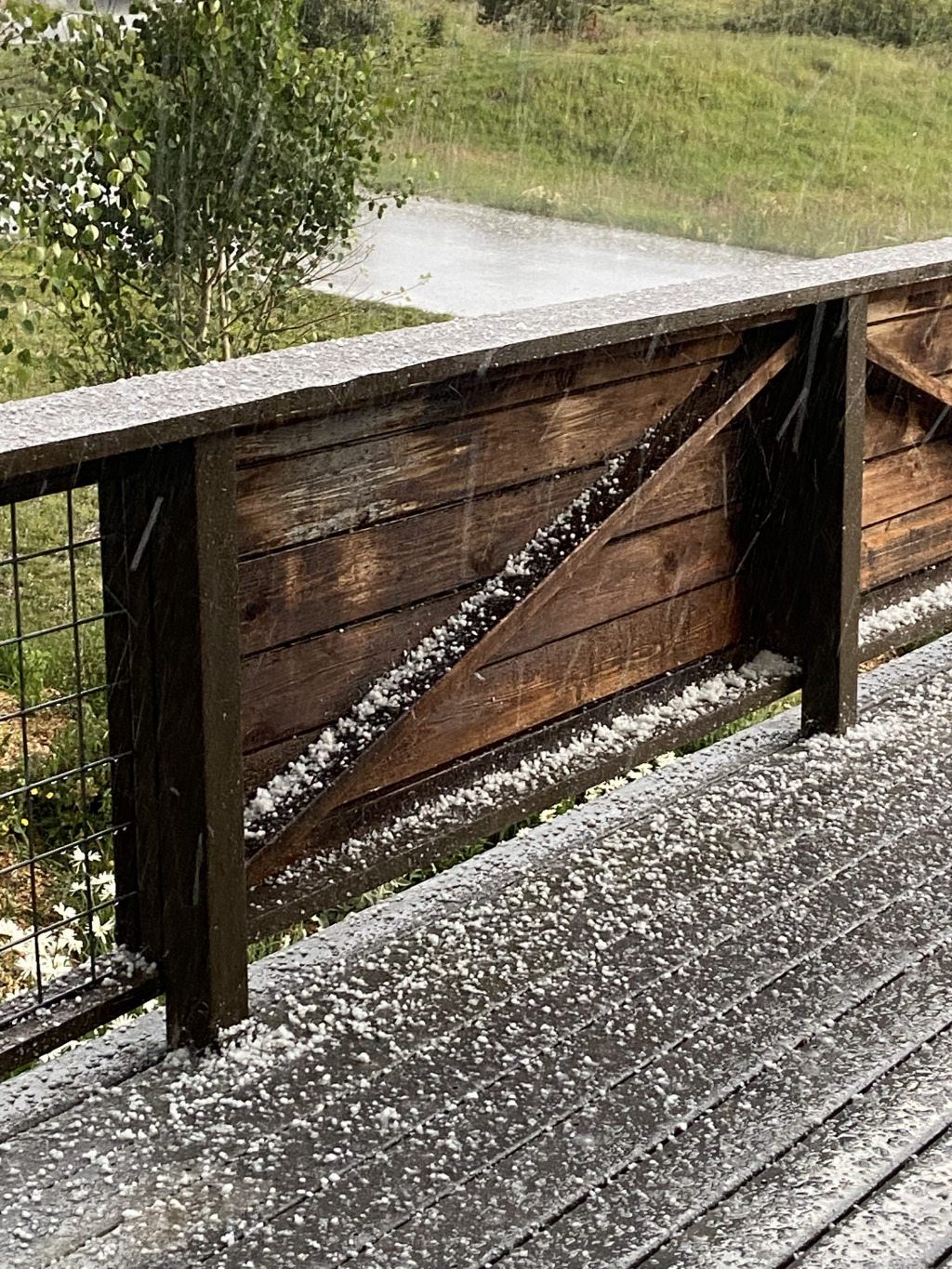 2021-08-14-Colorado-20-hail.jpg