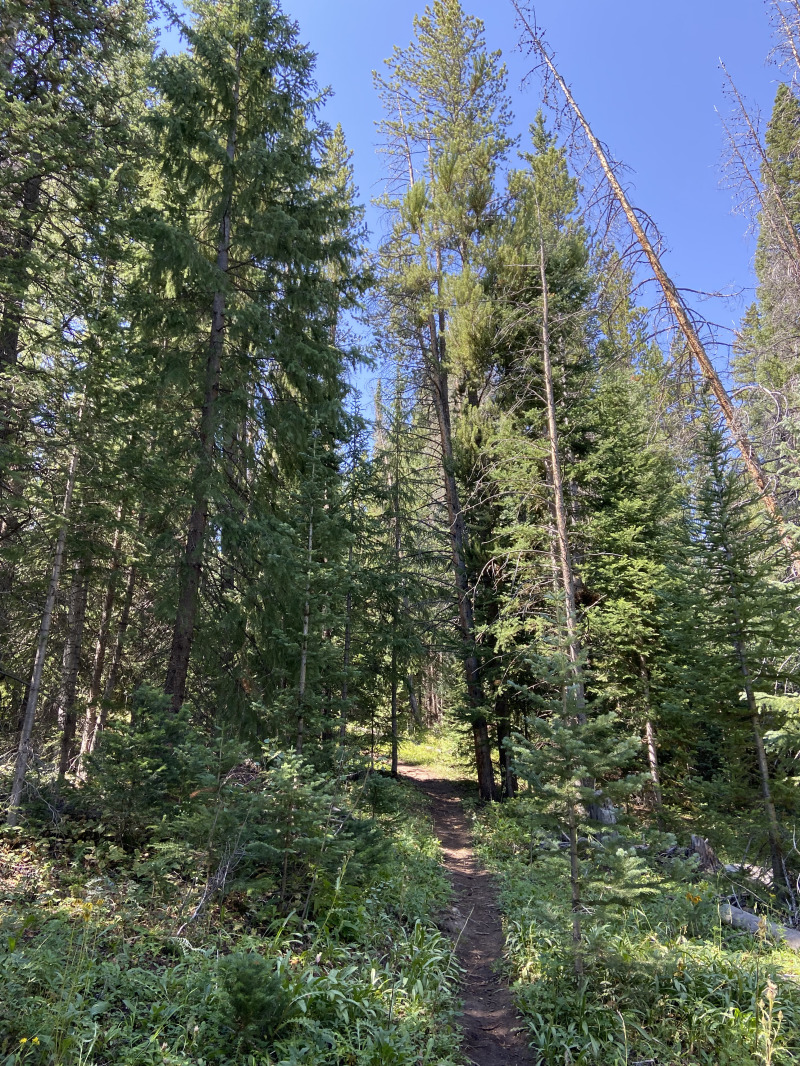 2021/08(August)/Breckenridge/800x600_2021-08-14-Colorado-05.jpg
