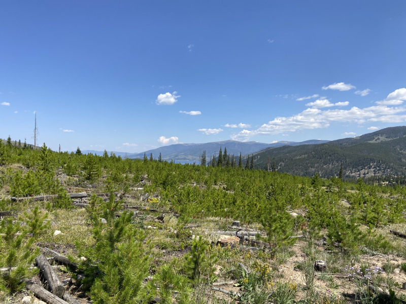 2021-08-14-Colorado-12.jpg
