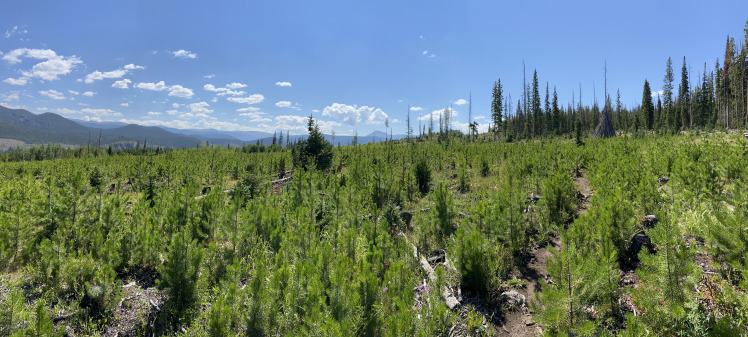 2021-08-14-Colorado-06.jpg