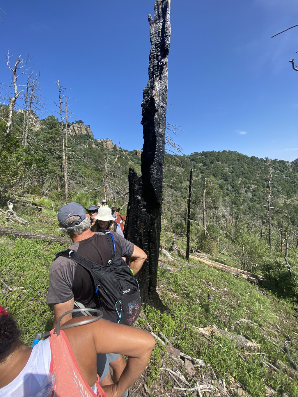 2021/08(August)/Davis-Mountains-Fitness-Camp/1024x768_2021-08-05-DMFC-14-Mt-Livermore-burned-tree-HollyWeiss-Ben.jpg