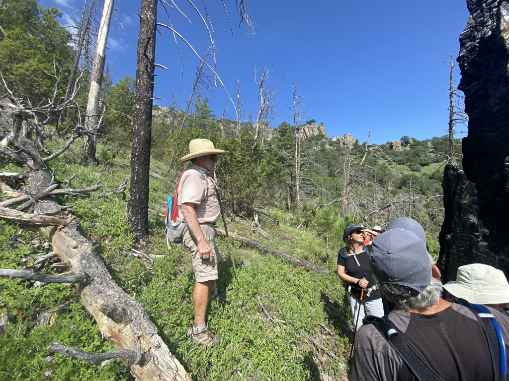 2021/08(August)/Davis-Mountains-Fitness-Camp/1024x768_2021-08-05-DMFC-15-Mt-Livermore-MichaelSchramm-HollyWeiss.jpg
