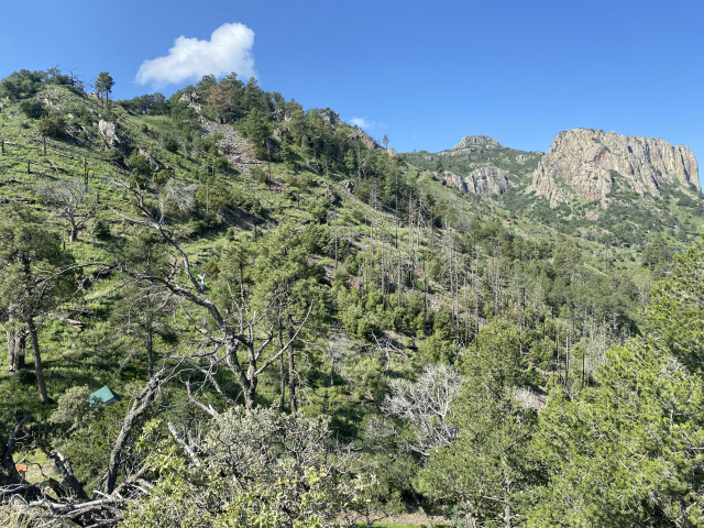 2021/08(August)/Davis-Mountains-Fitness-Camp/640x480_2021-08-05-DMFC-12-Mt-Livermore.jpg