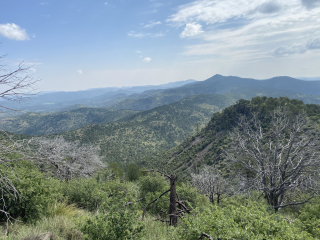 2021-08-05-DMFC-17-Mt-Livermore.jpg