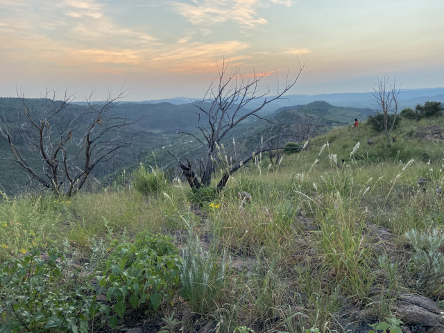 2021-08-07-DMFC-01-Sunrise.jpg