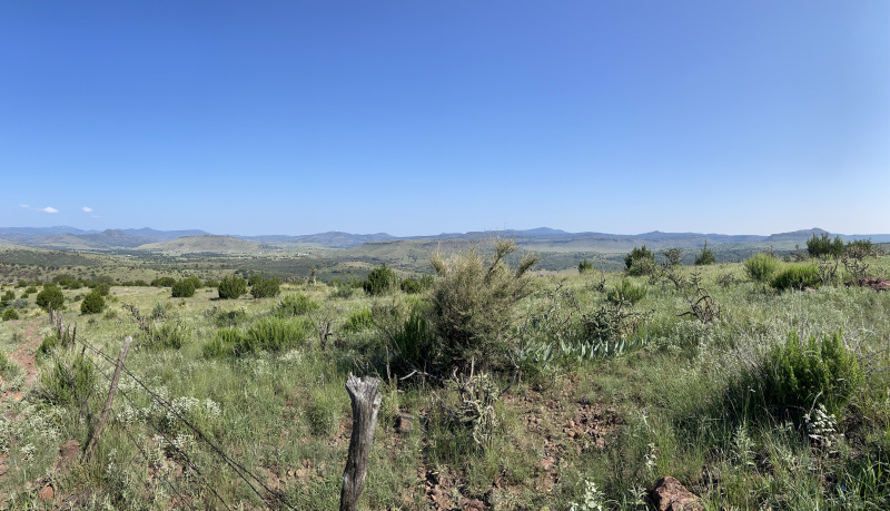 2021/08(August)/Davis-Mountains-Fitness-Camp/800x600_2021-08-05-DMFC-48-TrailRun.jpg