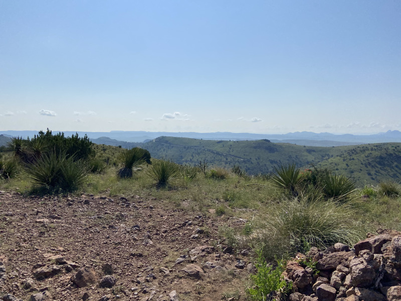 2021/08(August)/Davis-Mountains-Fitness-Camp/800x600_2021-08-05-DMFC-49-TrailRun.jpg