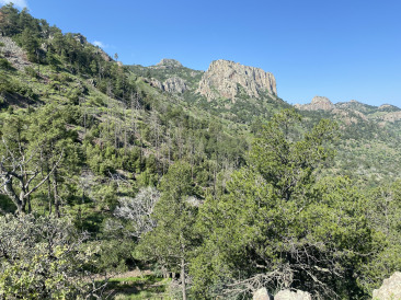 2021-08-05-DMFC-11-Mt-Livermore.jpg
