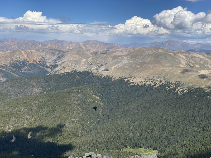 2021-08-23-Mt-Guyot-29.jpg