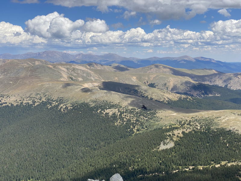2021-08-23-Mt-Guyot-30.jpg