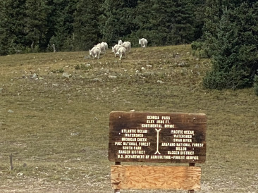 2021-08-23-Mt-Guyot-04-Georgia-Pass-11585ft.jpg