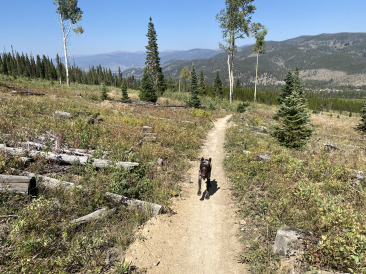2021-09-06-Colorado-19-Hiking-Blaze.jpg