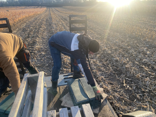 2021-11-11-South-Dakota-Hunting-02-Pheasant-planting.jpg