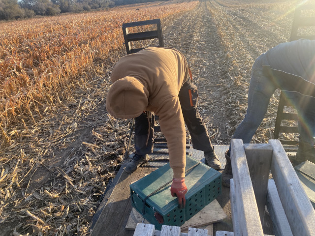 2021-11-11-South-Dakota-Hunting-03-Pheasant-planting.jpg
