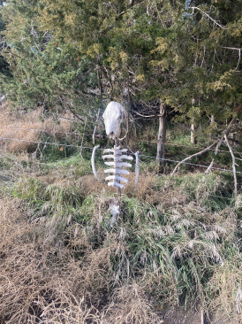 2021-11-07-South-Dakota-Hunting-2-skeleton-Cane-place.jpg