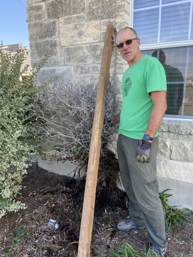 2021/12(December)/Misc/640x480_2021-12-07-Travis-pulling-dead-bushes-1.JPG