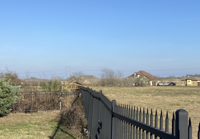 2021/12(December)/Misc/640x480_2021-12-25-Dead-Trees-backyard-3.JPG