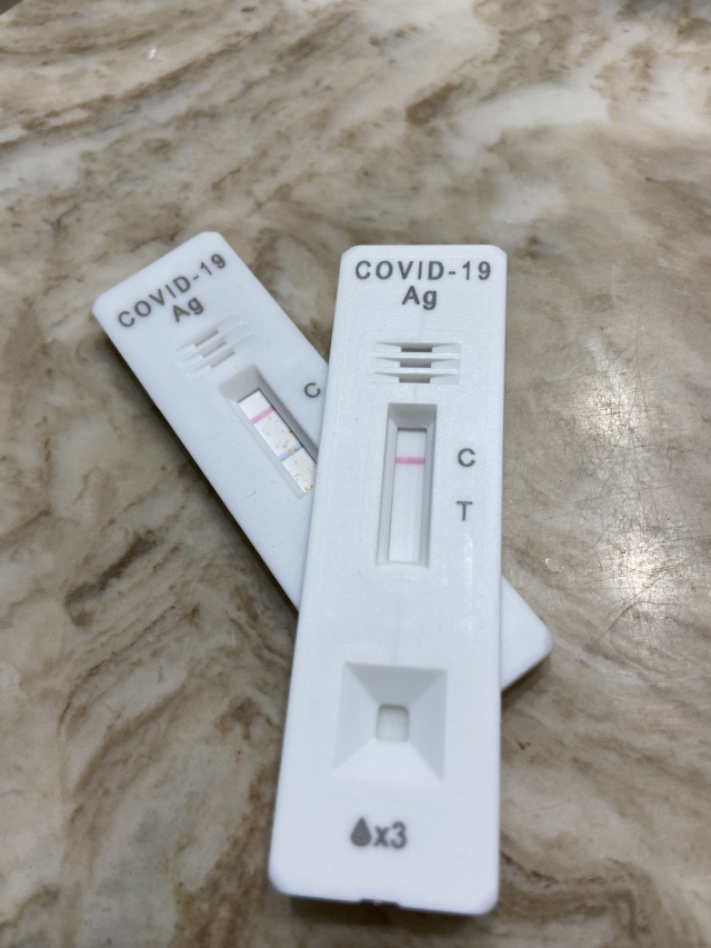 2021-12-31-Suzi-Clear-Covid-Test.JPG