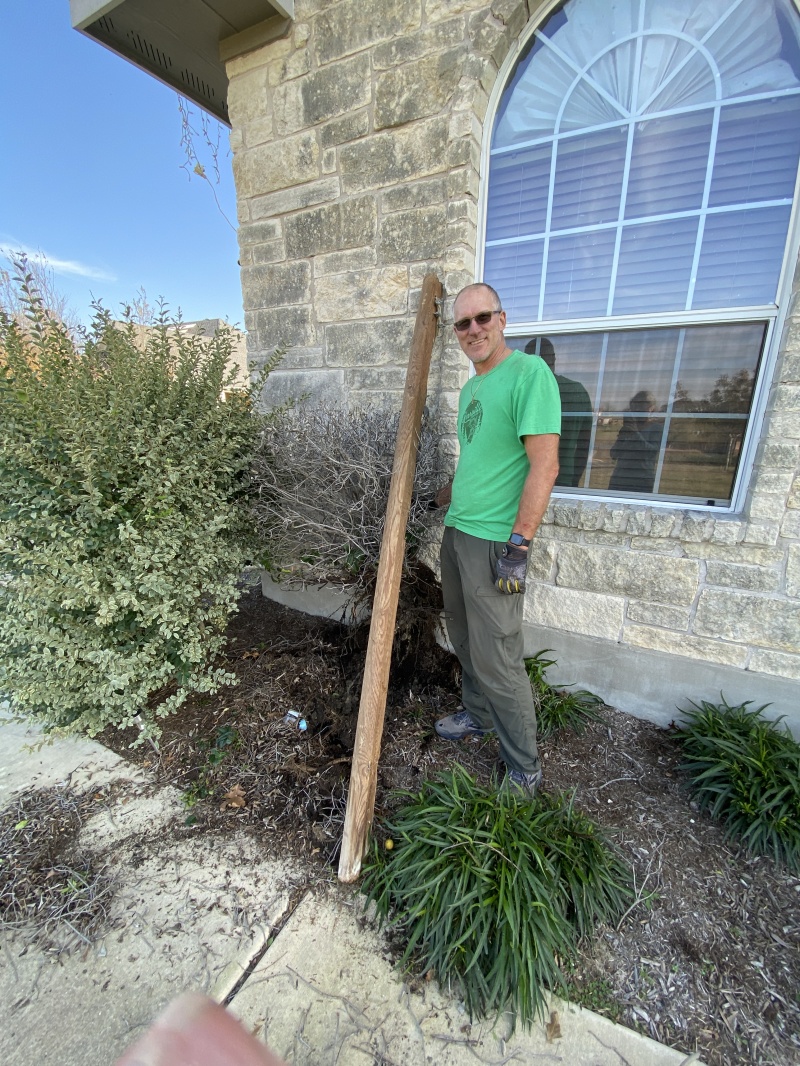 2021/12(December)/Misc/800x600_2021-12-07-Travis-pulling-dead-bushes-2.JPG