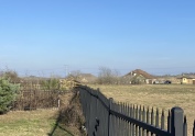 2021-12-25-Dead-Trees-backyard-3.JPG