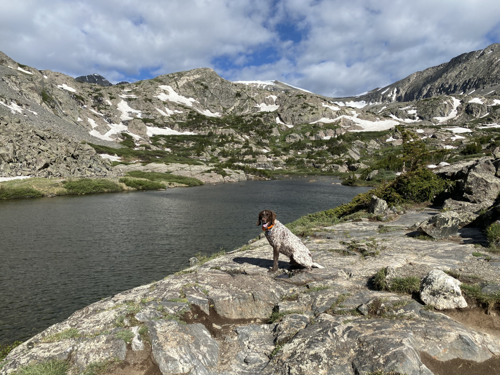 2021-06-25-AdrianaGraf-McCullough-Gultch-Hike-14-Blaze-GOOD.jpg