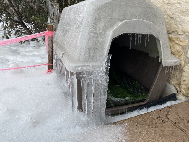 2021-02-17-Texas-Ice-Storm-01-frozen-dog-house-GOOD.JPG