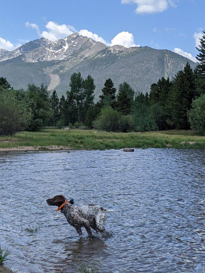 2021/Blaze/800x600_2021-06-05-Blaze-5.JPG