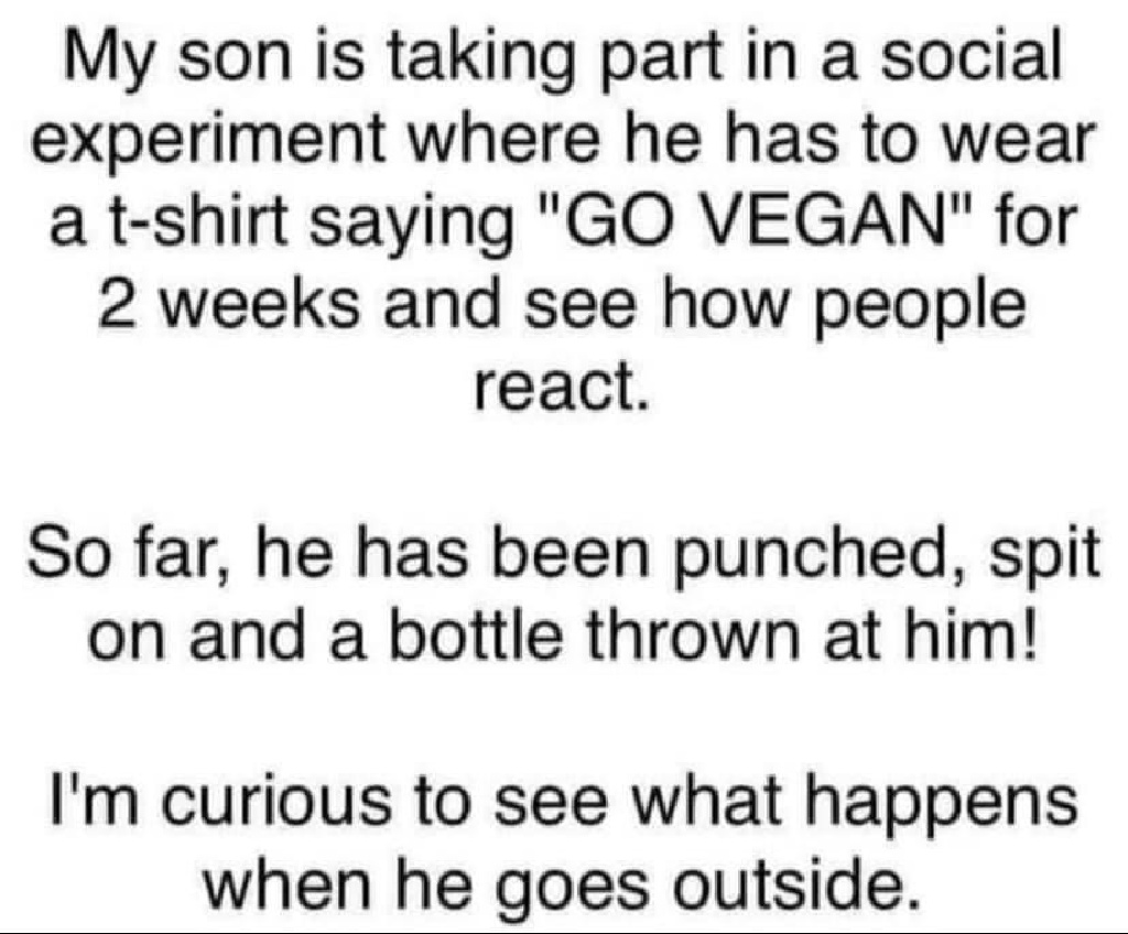 GO-VEGAN-T-shirt.JPG