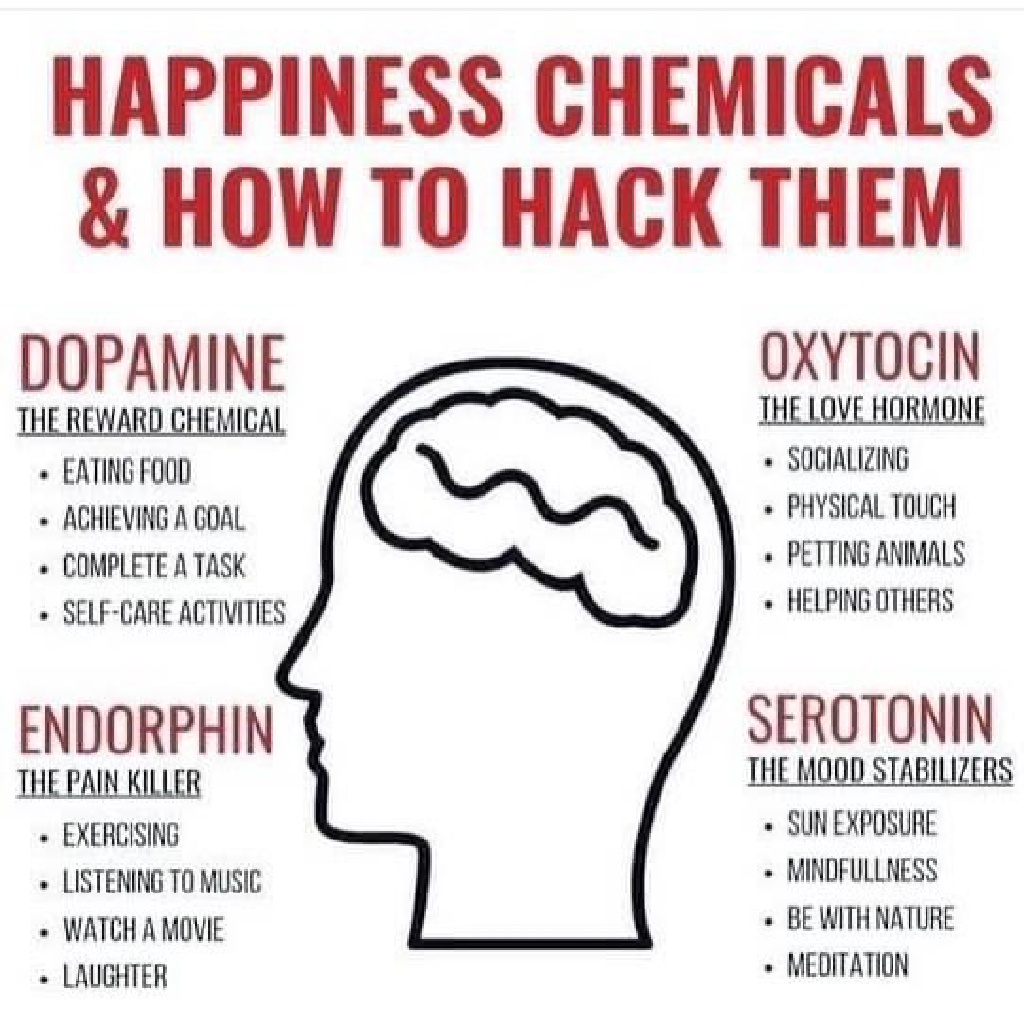 Happiness-Chemicals.JPG