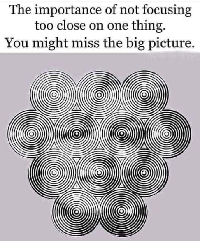 Focus-Big-Picture.JPG