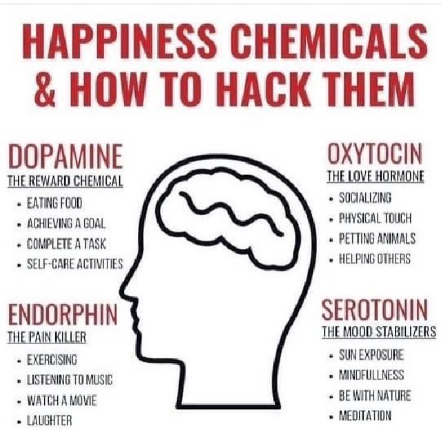 2021/Meme/640x480_Happiness-Chemicals.JPG