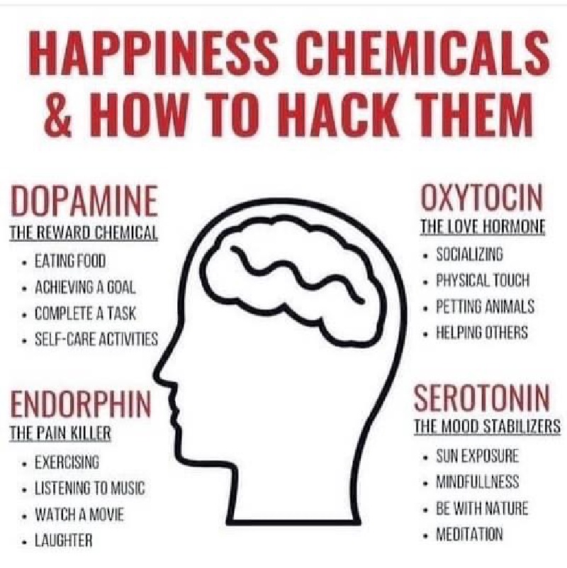 2021/Meme/800x600_Happiness-Chemicals.JPG