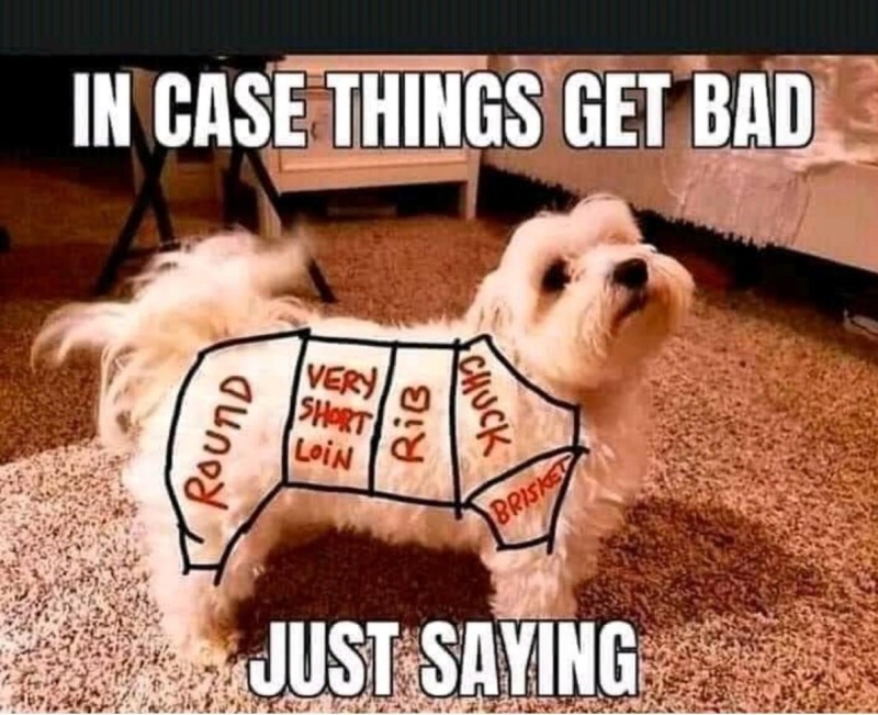 2021/Meme/800x600_In-Case-Things-Get-Bad.JPG