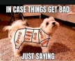 In-Case-Things-Get-Bad.JPG