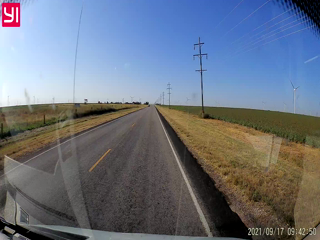 2021-09-17-Deer-cross-road.png