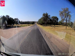 2021-09-17-Turkeys-crossing-road.png