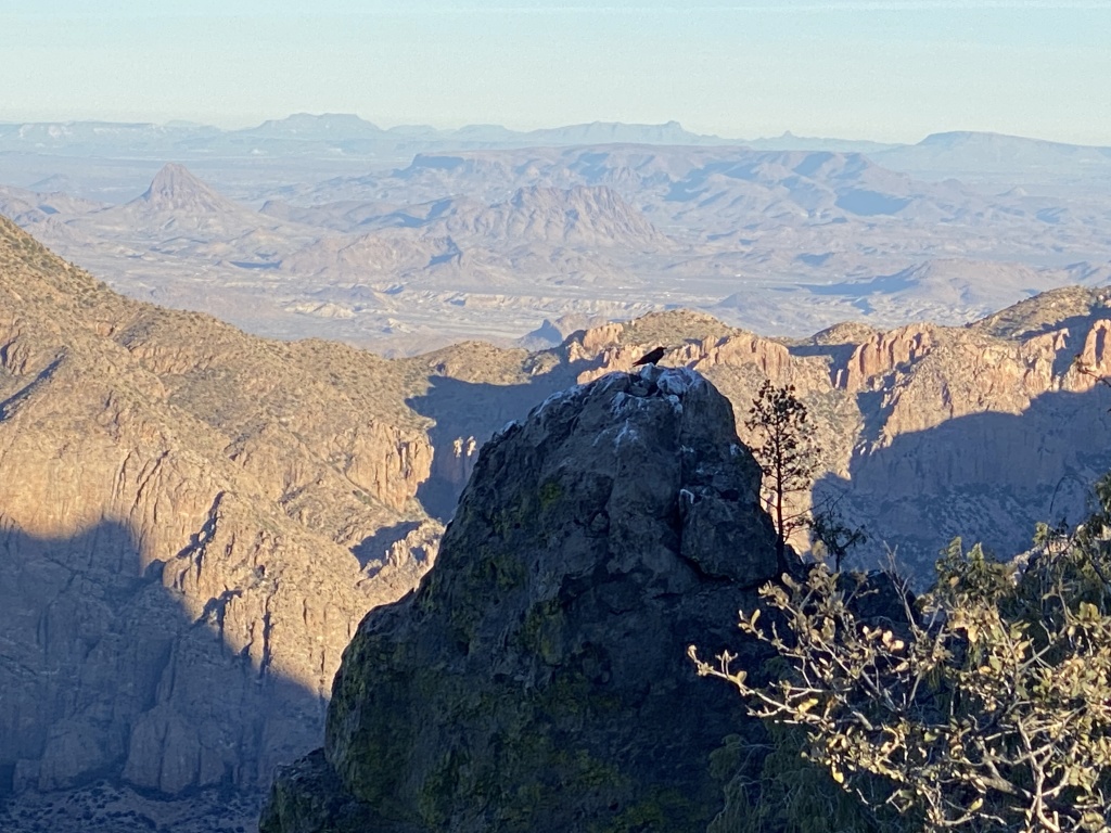 2022-01-17-Big-Bend-Camping-Crew8787-205-bird.JPG
