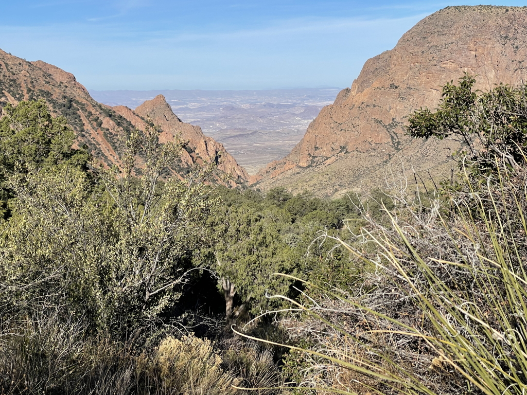 2022-01-17-Big-Bend-Camping-Crew8787-216.jpg
