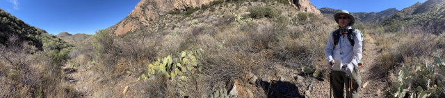 2022-01-15-Big-Bend-Camping-Crew8787-96-Travis-Landscape.jpg
