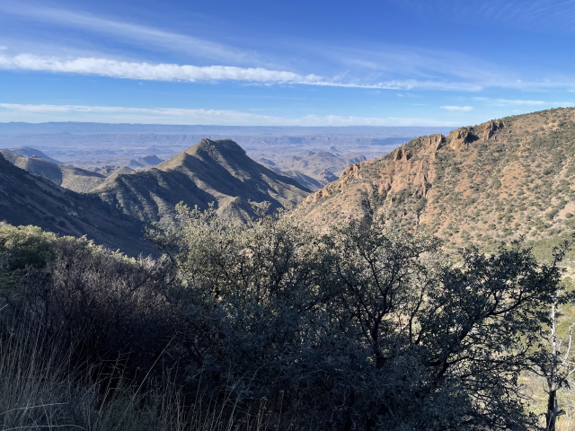 2022-01-16-Big-Bend-Camping-Crew8787-161.jpg