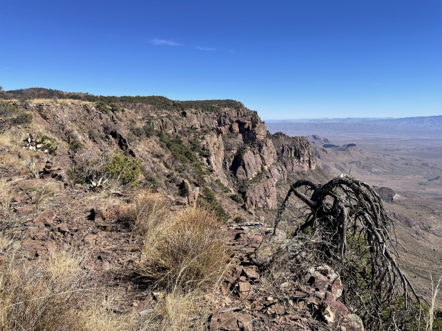 2022-01-16-Big-Bend-Camping-Crew8787-176.jpg