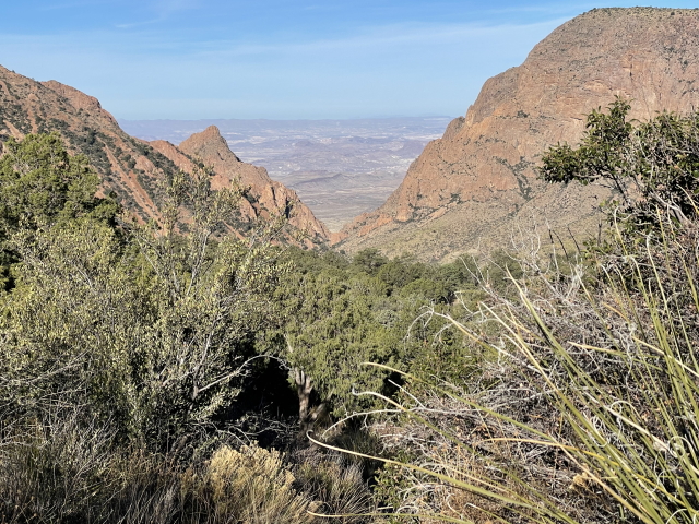 2022-01-17-Big-Bend-Camping-Crew8787-216.jpg