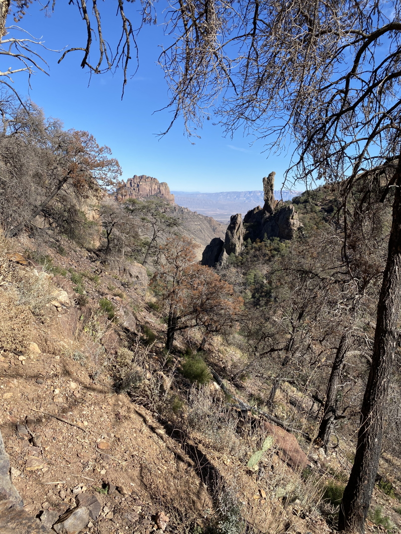 2022-01-16-Big-Bend-Camping-Crew8787-181.jpg