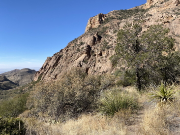 2022-01-15-Big-Bend-Camping-Crew8787-99.jpg