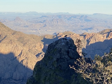 2022-01-17-Big-Bend-Camping-Crew8787-205-bird.JPG